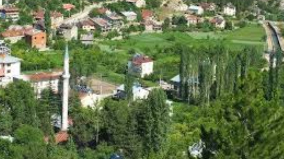 İlan Fotoğrafı